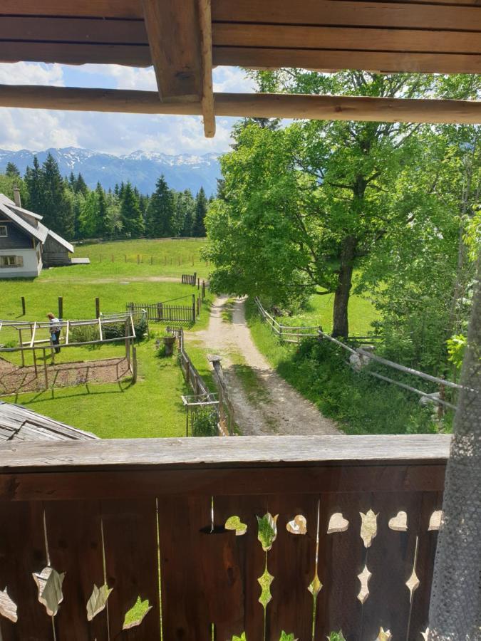 Mountain Apartment Uskovnica Bohinj Eksteriør bilde